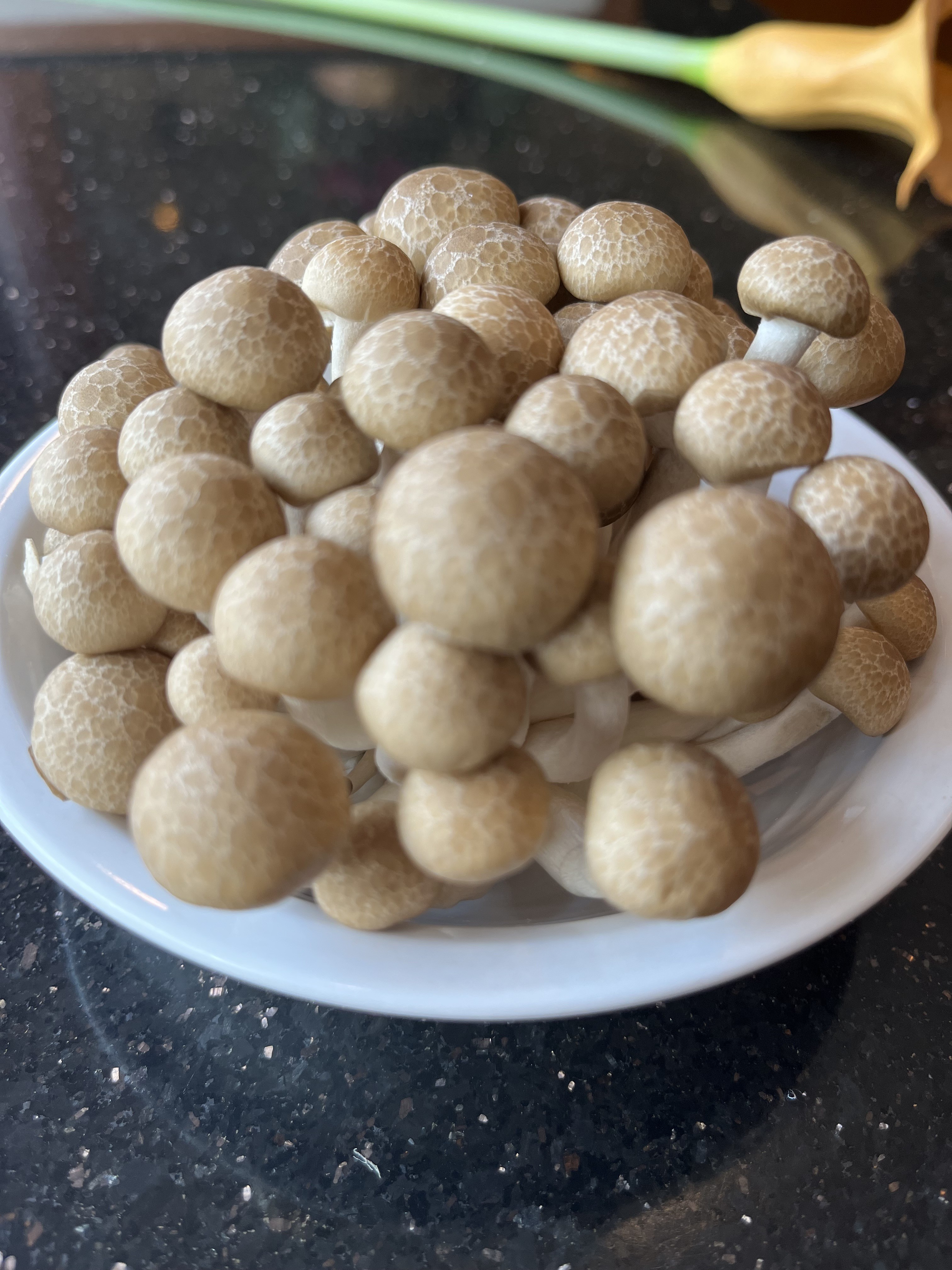 Shimeji Mushroom Hanamasa